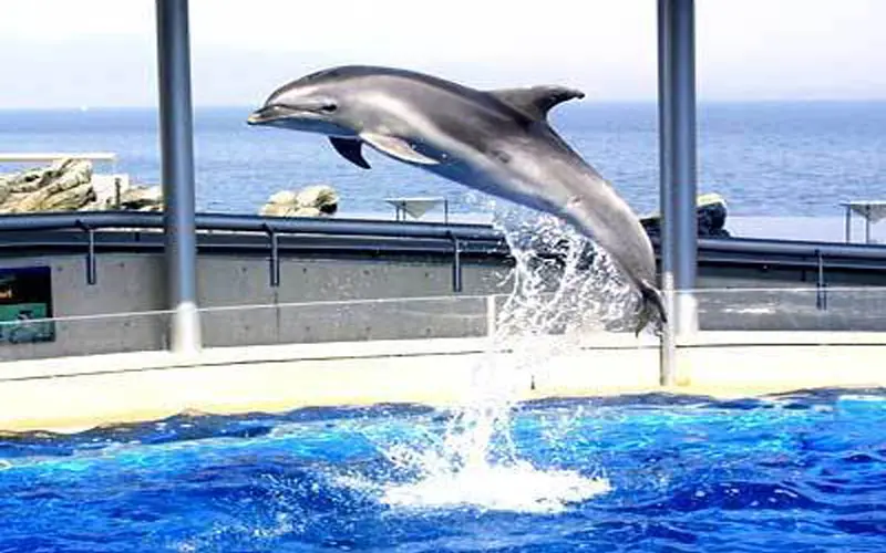 テーマパーク・アミューズメント